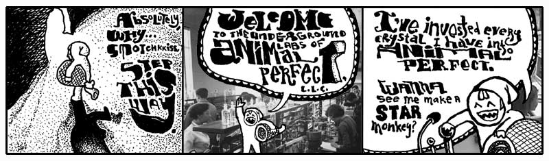 Animal Perfect, LLC Animal Perfect, LLC